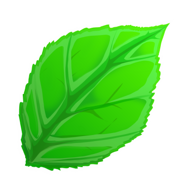 arkaplan içermeyen yeşil yaprak simgesi