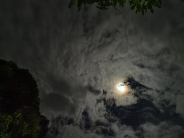 Ağaç siluetleriyle bulutlu bir gökyüzünde dolunay.