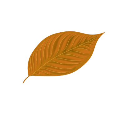 şeffaf kuru yapraklar