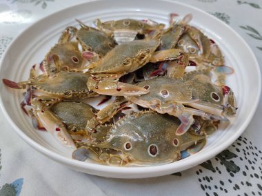 Bir tabak çiğ deniz yengeci.