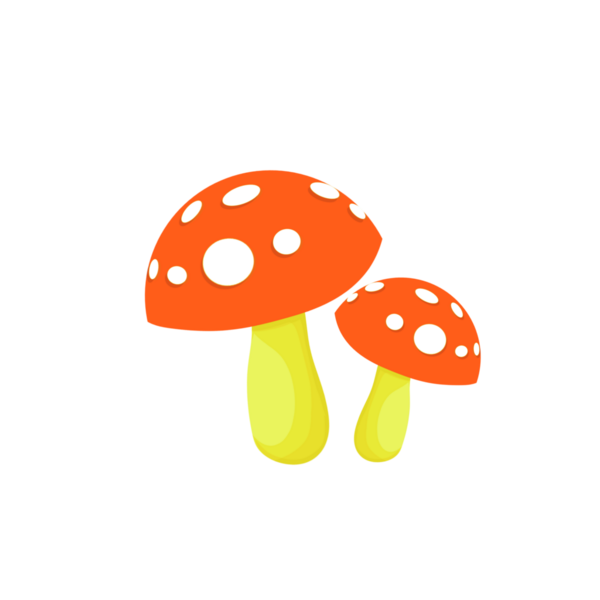 Arka planı olmayan iki mantar sineği.