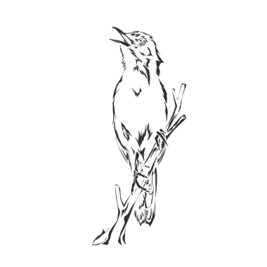 Bir kuşun vektör silueti arka plan olmadan bir ağaç dalına tünemiş.