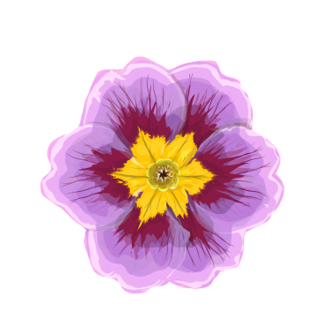 arkaplansız çiçek simgesi