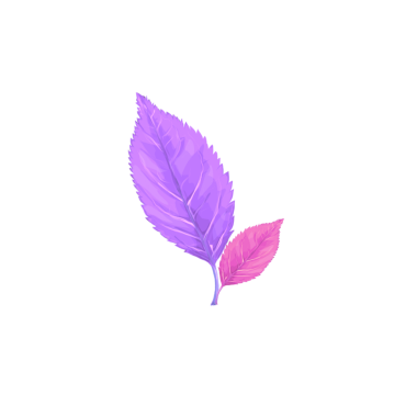 arkaplan olmadan izole edilmiş mor yaprak simgesi