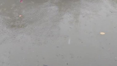 Yağmur damlalarıyla nehir suyu yüzeyi