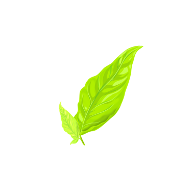 Arkaplanı olmayan taze yeşil yaprak simgesi