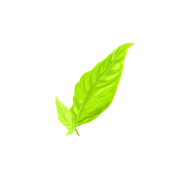 Arkaplanı olmayan taze yeşil yaprak simgesi