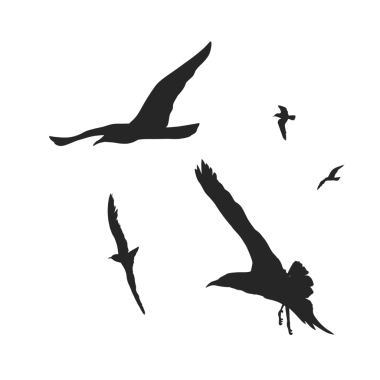 Arka plan olmadan birlikte uçan bir kuş sürüsünün silueti.