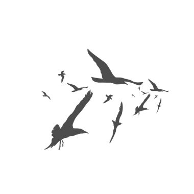 Arka plan olmadan birlikte uçan bir kuş sürüsünün silueti.