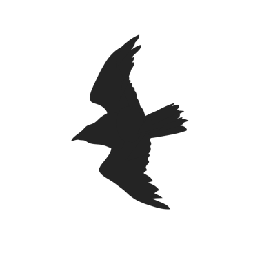 Arka plan olmadan uçan bir kartalın silueti