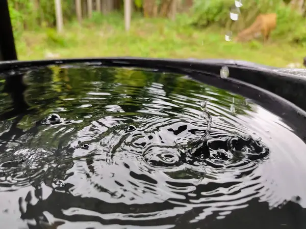 Su damlaları ve su dalgaları doğanın arka planında bir kovada.