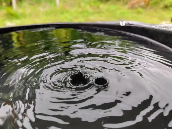 Su damlaları ve su dalgaları doğanın arka planında bir kovada.