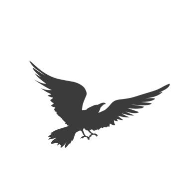 Arka plan olmadan av pozisyonunda uçan bir kartalın silueti