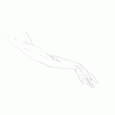 Beyaz arkaplanı olan bir kadın eli çizimi.