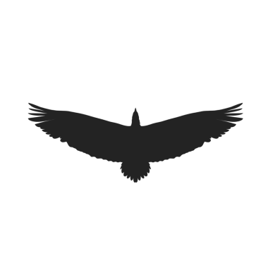 Arka plan olmadan uçan bir kartalın siluet simgesi