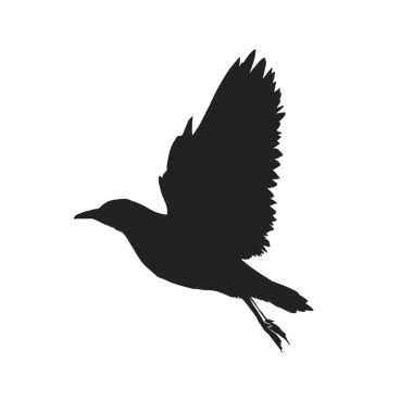 Arkaplansız uçan kuş silueti simgesi
