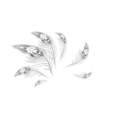 tavuskuşu tüyü eskiz koleksiyonu