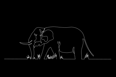 Beyaz çizgili, siyah arka planda çimlerde bir fil çizgisi.