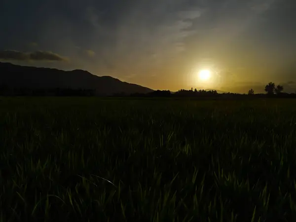 Pirinç tarlalarının manzarası ve dağlarda gün batımı bir zemin gibi.