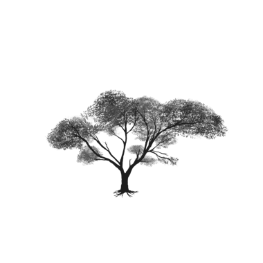 Arkaplanı olmayan gölgeli bir ağacın vektör silueti