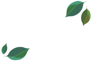 Köşede arka planı olmayan taze yeşil yapraklar.