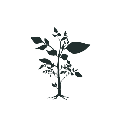 dalları ve yaprakları olmayan yeşil bitki