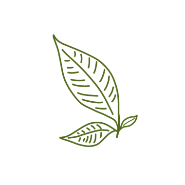 arkaplansız yeşil yaprak vektör illüstrasyonu