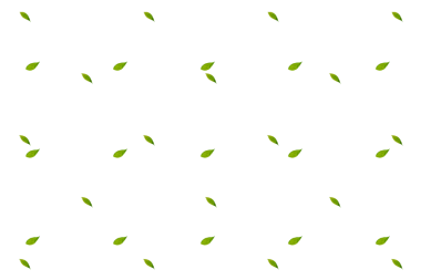 arkaplan olmadan soyut yaprak koleksiyonu dekorasyonu