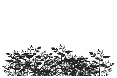 Çalılıklarda arkaplansız bir bitki koleksiyonunun silueti