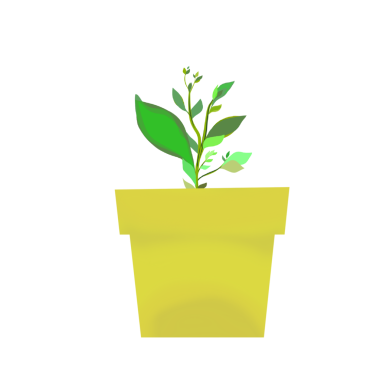 Yeşil bitki sarı tencerede, arka plan yok.