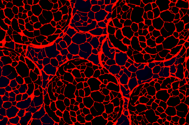 Kırmızı çatallı siyah soyut desen