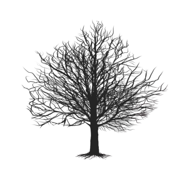 Düşmüş dalları ve dalları olan gölgeli ağaçlar.