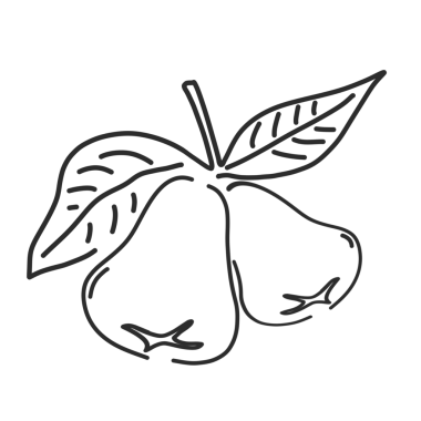 arkaplansız yapraklı guava meyve simgesi