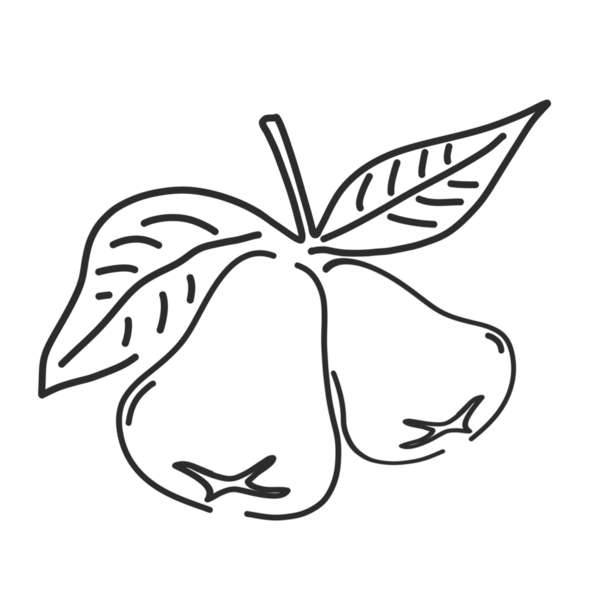 arkaplansız yapraklı guava meyve simgesi