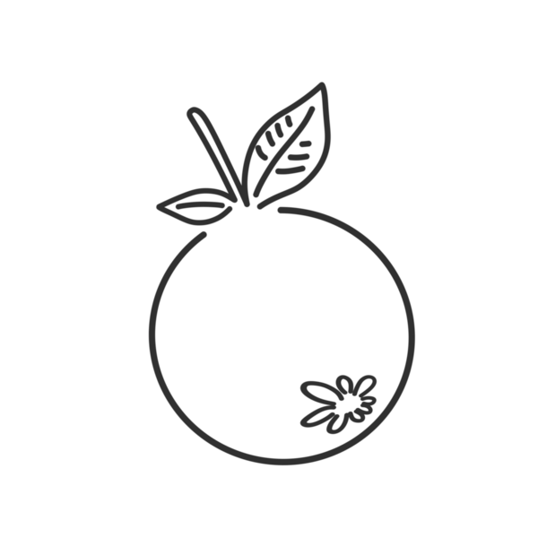 Arkaplansız yapraklı mangosteen meyve simgesi