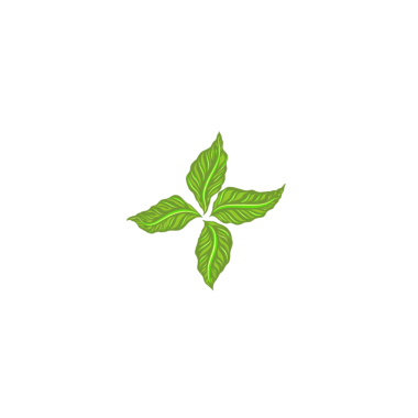 fresh leaf icon without background