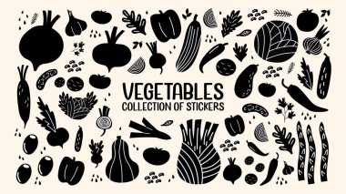 Taze sebze siluetlerini hazırlayın. Tarım ürünü, hasat. Olgun taze organik yiyecekler. Domates, salatalık, brokoli, havuç, soğan ve diğer malzemeler. Vejetaryen çıkartmaları. 