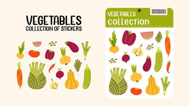 Taze sebzeler. Tarım ürünü, hasat. Olgun taze organik yiyecekler, domates, salatalık, brokoli, havuç, soğan ve diğer malzemeler. Vejetaryen çıkartmaları.