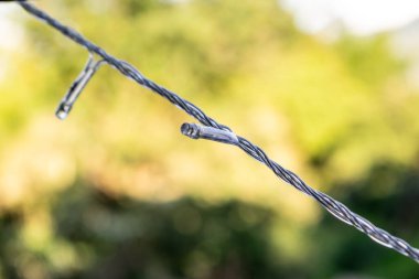 Süslerle süslenmiş bir ağacın, parlak bir yıldızın, peluş oyuncakların, Noel Baba heykelciklerinin ve rahat bir şöminenin olduğu şenlikli bir Noel sahnesi. Bu görüntü tatilin sıcaklığını ve neşesini yakalar.