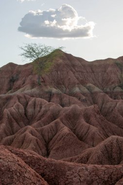 Kolombiya 'daki Tatacoa Çölü, Huila, kurak manzarasını, aşınmış kanyonlarını, eşsiz kaya oluşumlarını ve canlı gökyüzünü sergiliyor. Doğa, seyahat ve macera temaları için mükemmel.