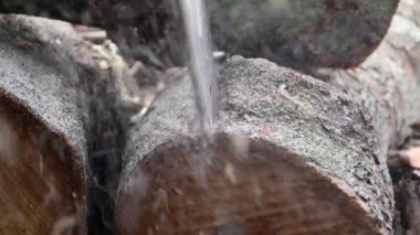 Ahşap bıçkıhanesi, testere kesme kereste kesme kereste fabrikası, kereste kesme kütükleri. Yüksek kalite 4k görüntü