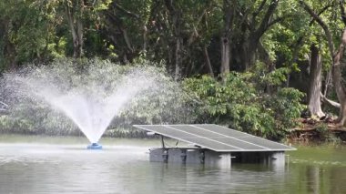 Sürdürülebilir Gelecek İçin Güneş Paneli Yenilenebilir Enerji. Yüksek kalite 4k görüntü