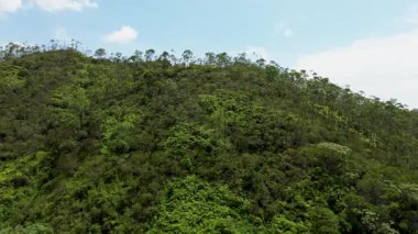 Lush Trees 'le Dağ' ın havadan görünüşü, Highlands 'ın görkemli manzarası. Yüksek kalite 4k görüntü