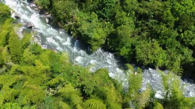 Yağmur Ormanları, Doğa ve Macera 'daki Lush Ormanı' yla çevrili Akan Nehir 'in Hava Manzarası. Yüksek kalite 4k görüntü