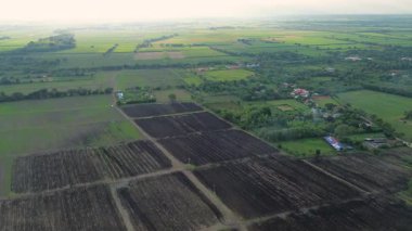 Kolombiya 'nın Valle del Cauca bölgesinde şeker kamışı tarlaları olan verimli tarım arazilerinin insansız hava aracı görüntüsü. Yüksek kalite 4k görüntü