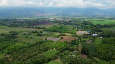 Santa Elena, Cerrito, Sersemletici Valle del Cauca Kırsal Bölgesi, Kolombiya Seyahat ve Turizm. Yüksek kalite 4k görüntü