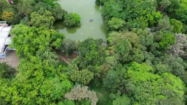 Ormanla çevrili yapay göl insansız hava aracı görüntüsü. Yüksek kalite 4k görüntü