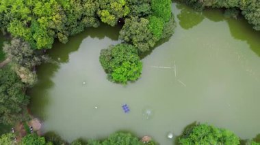 Ormanla çevrili Deneysel Göl Drone Manzarası. Yüksek kalite 4k görüntü