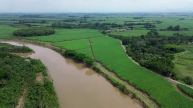 Çiftlik arazisiyle çevrili Büyük Nehir. Yüksek kalite 4k görüntü