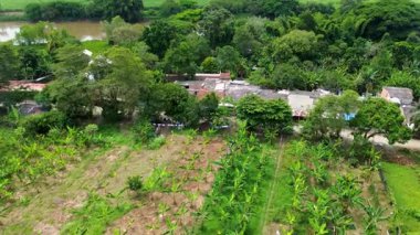 Bocas de Palo ve River 'ın insansız hava aracı görüntüsü. Yüksek kalite 4k görüntü
